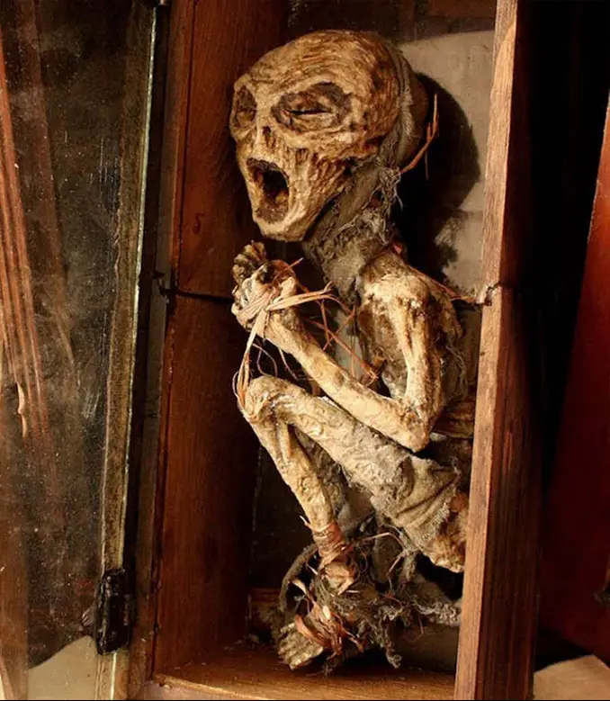 Body of an Alien Found in Thomas Theodore Merrylin's Abandoned Laboratory - 10 Creepiest Things Discovered in Abandoned Buildings