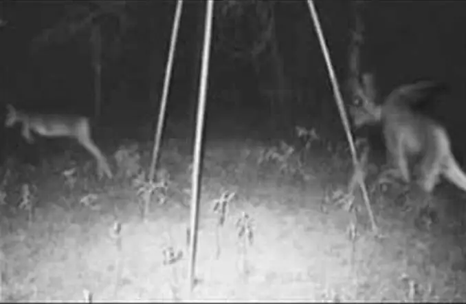 The Jersey Devil is one of many Mysteries From the Past That Remain Unsolved