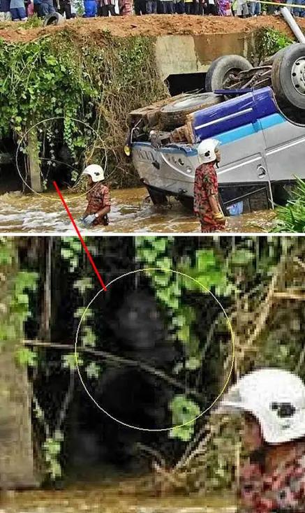 Troll seen under a bridge after a car crash - 8 Mythological Creatures Caught on Camera