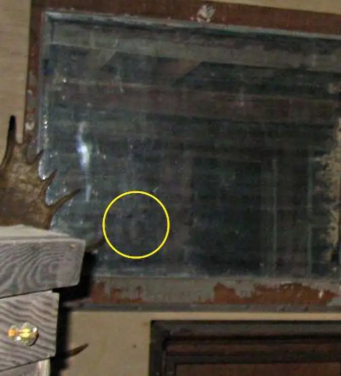 A photo of a ghost dog seen in the window - 10 Creepy Ghost Animals Caught on Camera