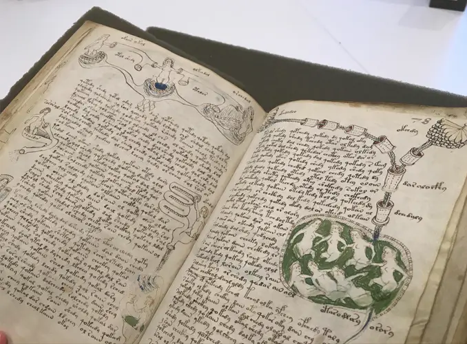 The Voynich Manuscript is one of many Cursed Books You Should Never Read