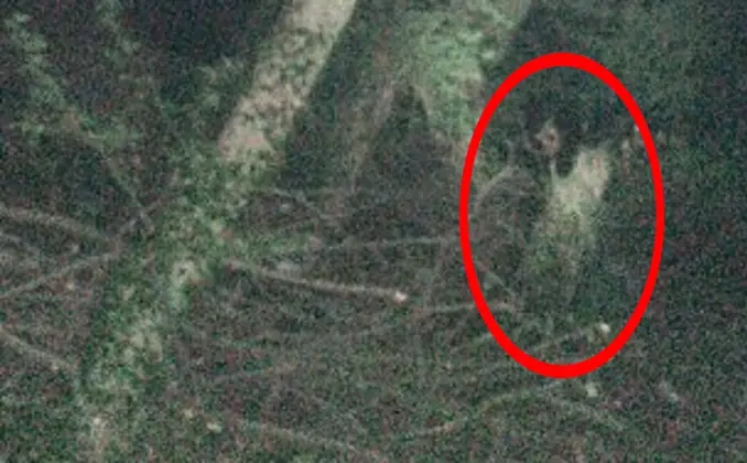 Woman photographs a black eyed child in the woodlands of the East Riding of Yorkshire, UK - Creepy Black Eyed Children Caught on Camera