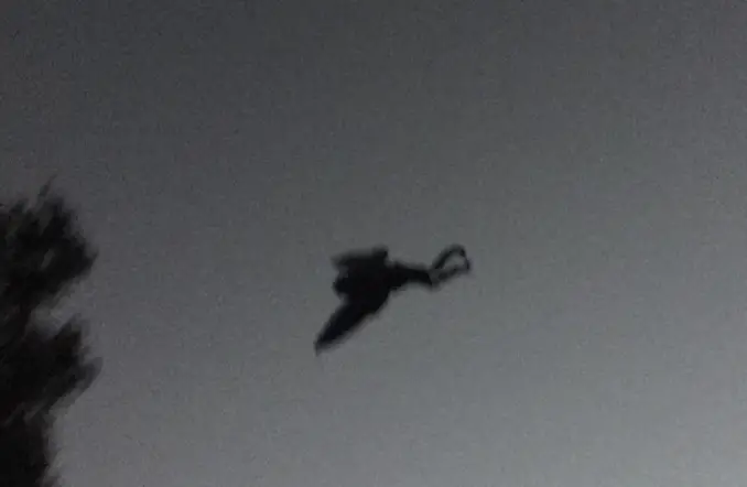 Strange creature flying through the sky