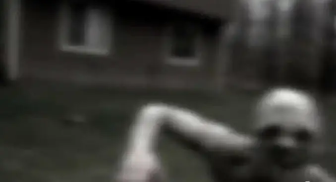 A single frame taken from a piece of footage that shows The Rake in a backyard