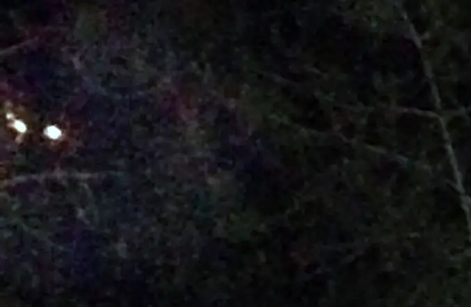 Glowing eyes spotted in Texas Cemetery