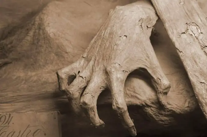 A scary hand coming out of a grave, having been buried alive