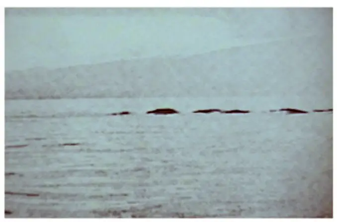 Ogopogo Lake Monster by Ed Fletcher is a real cryptid encounter