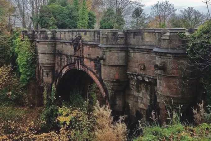 The Overtoun bridge causes dog suicides