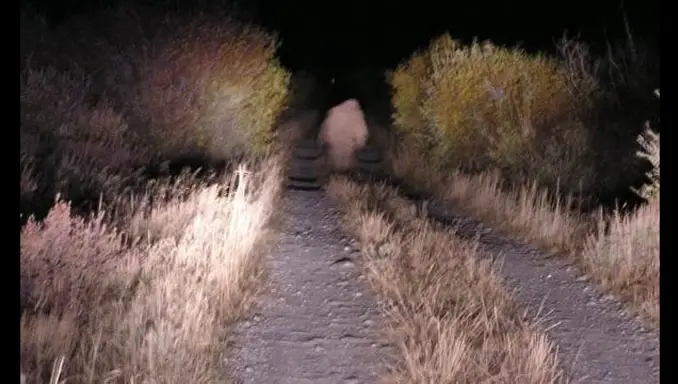 Utah Skinwalker sighting, it is one of many real cryptid encounters across the internet.