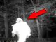 A series of eerie events show creepy clown caught on trail camera