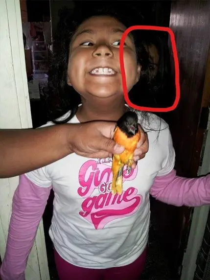 Eerie face appears in background of photo, girl catches bird.