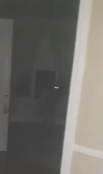 Shadow person photographed in haunted house.