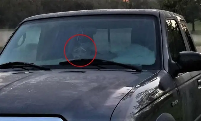 Ghost face in Truck.