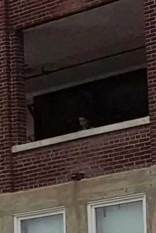 Creepy ghost girl spotted in unexplained photos at the Waverly Hills sanatorium.