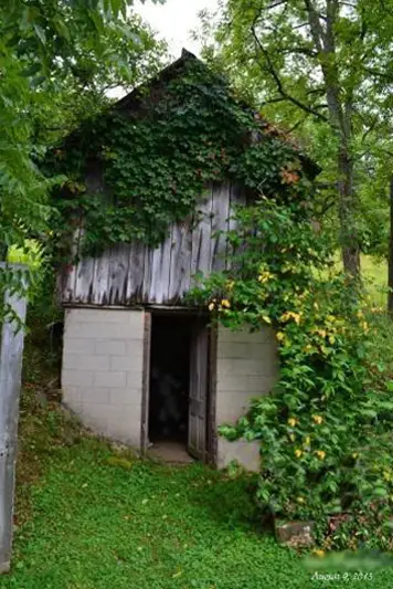 Creepy photo shows strange entity in darkened shed doorway.