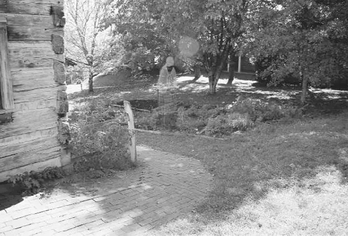 A scary image of a transparent lady in the garden. Some say it's a ghost.