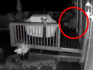 These Scary Clips May Show Paranormal Activity