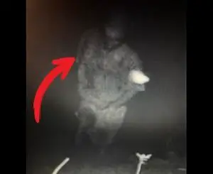 Eerie figure caught on trail cam by Redditor